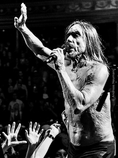 Iggy Pop